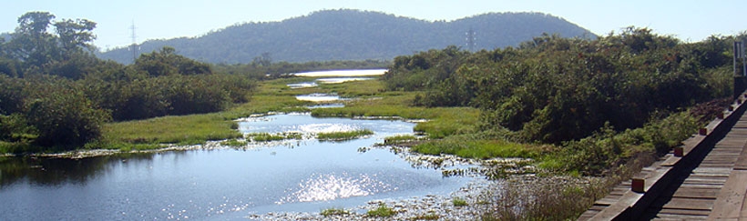 Pantanal Sul, Estrada Parque e Bonito